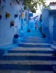 PROM SEPT / Refined apartment in front of Club Med near Cabo Negro beach