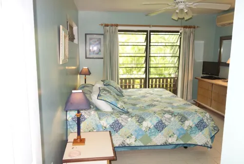 Private Paradise in Gated Buccaneer Bay Estates on Shoys Beach Road Hotels in East End