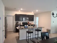 Brand new modern home near the heart of Tampa