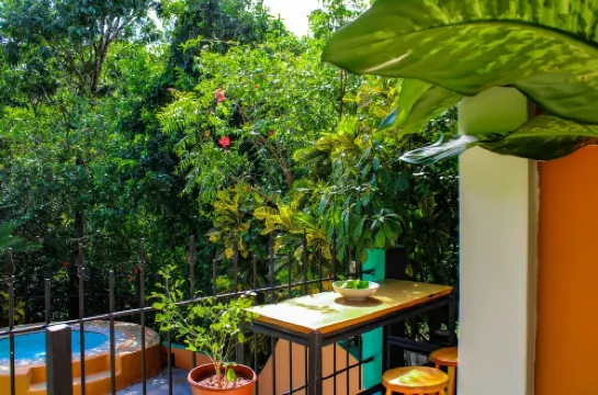 Resort With 3 Casitas And a Beautiful Pool Minutes Away From World-Class Surf