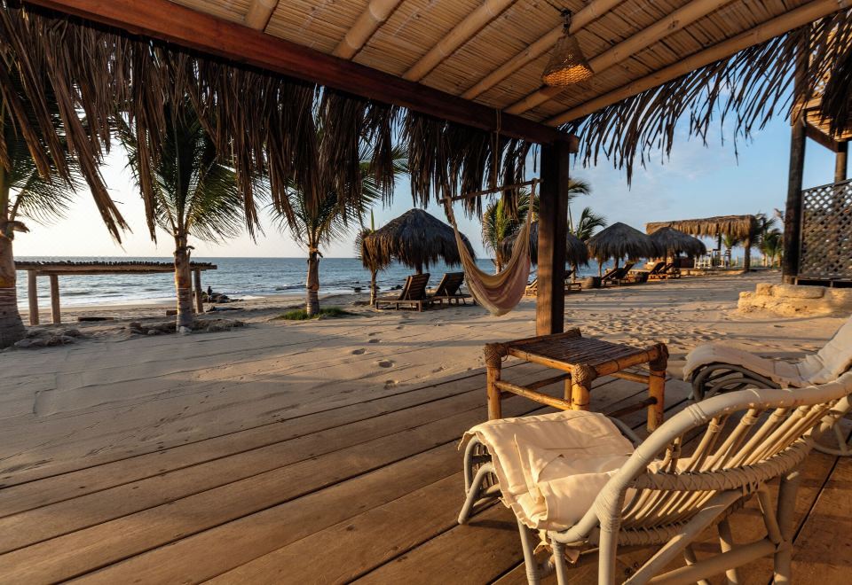 2. 오하 데 팔마 ..