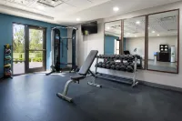Hampton Inn Atlanta/Fayetteville - Træningscentre