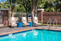 Holiday Inn & Suites DALLAS-ADDISON by IHG - Pools