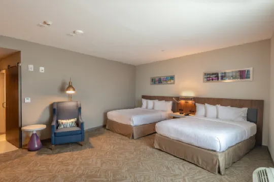 Hilton Garden Inn Dallas - at Hurst Conference Center