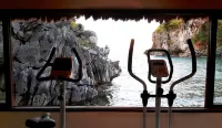 Cauayan Boutique Private Island - Gym
