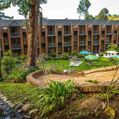 Hotel Bosque de Reñaca Hotel Exterior