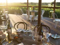 Seabrook Vineyard Retreat - Boutique
