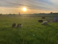 4 Person Holiday Home in Skibby-by Traum Hotels in Skibby