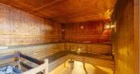 PLAZA INN Wels - Spa