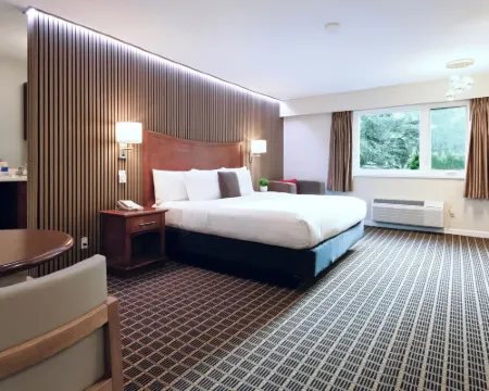 ギブソンズ ガーデン ホテル ギブソンズのホテル