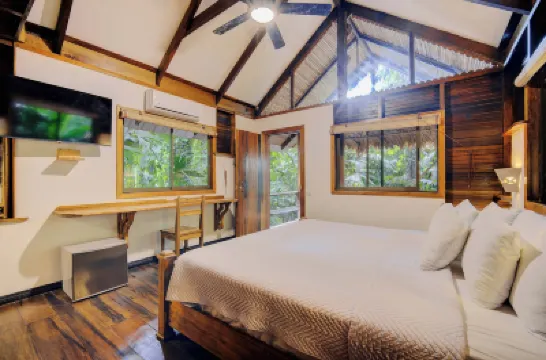 Cariblue Beach and Jungle Resort Hotel di 