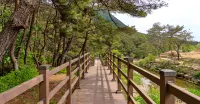거창 해바라기풀빌라펜션