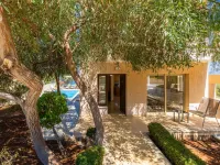 Villa Panorama Tessera Hotels in Drouseia