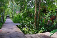 Rimba Orangutan Eco Lodge Hotels in 