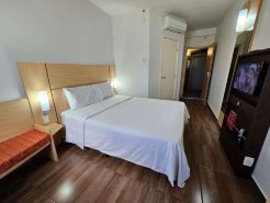 Ibis Mossoro