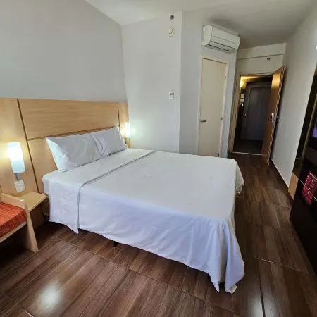 Ibis Mossoro