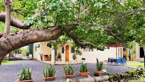 Hostal Camila’s - Интернет