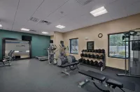 Hampton Inn & Suites Tampa Northwest/Oldsmar - Træningscentre