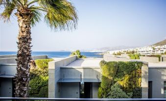 Cagdas Vıllas Swıssotel Hotel Residences