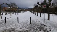 Nature Near Bilbao