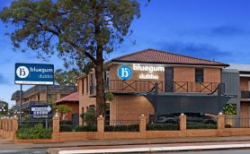 Bluegum Dubbo