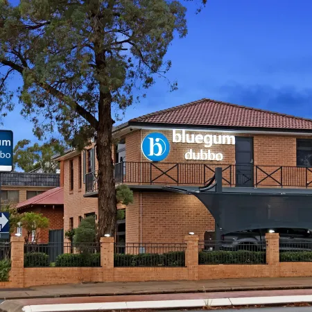 Bluegum Dubbo