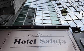 Hotel Saluja