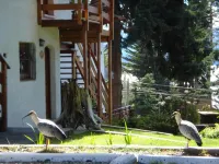 Mont Blanc Bungalows