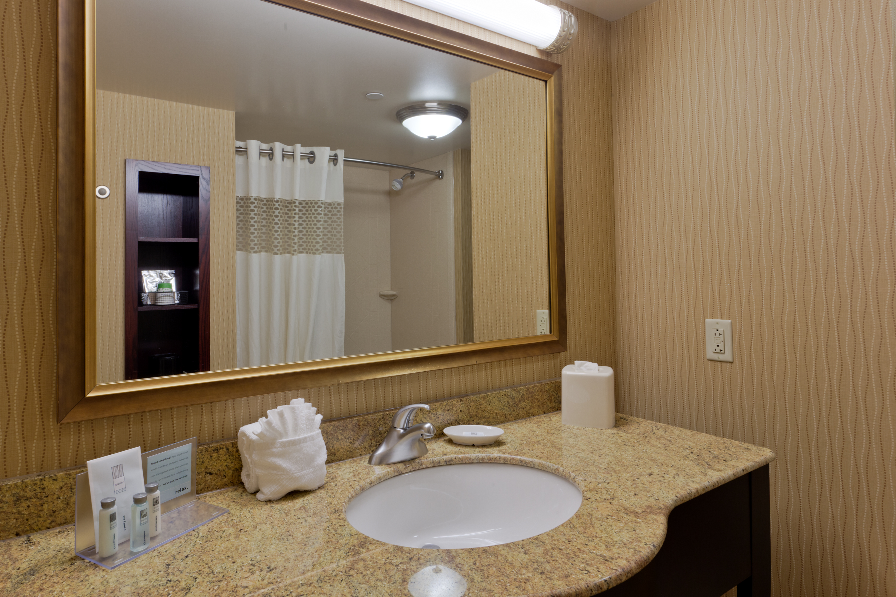 Hampton Inn Rochester-Webster