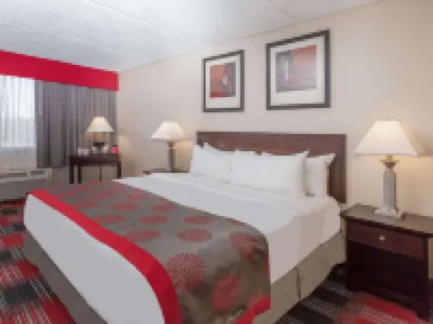 Albany Plaza Hotel Hotels in Albany