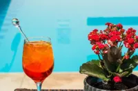 Serra Negra Palace Hotel - ที่มีบาร์