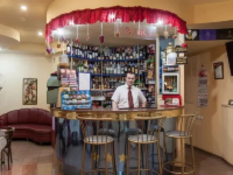 艾麗丹酒店 維捷布斯克酒店