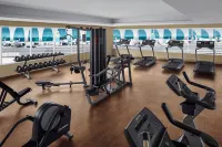 Holiday Inn Express DUBAI AIRPORT by IHG - Gym