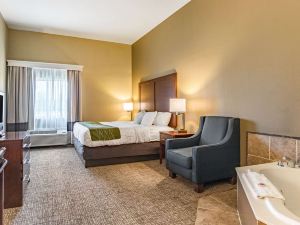 Comfort Inn and Suites - Tuscumbia/Muscle Shoals