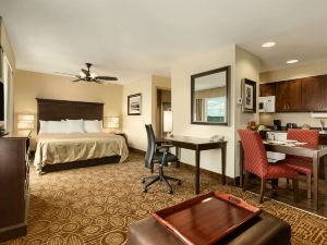 賓厄姆頓/維斯塔Homewood Suites by Hilton（HOMEWOOD SUITES BY HILTON BINGHAMTON/VESTAL, NY）