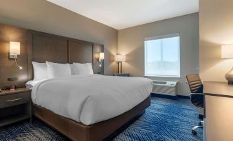 Comfort Inn & Suites Balch Springs - SE Dallas