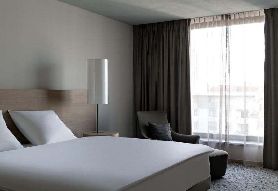 풀먼 바젤 유럽