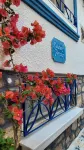 Kelebek Ayvalık - مطابخ