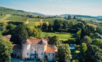 Château d'igé