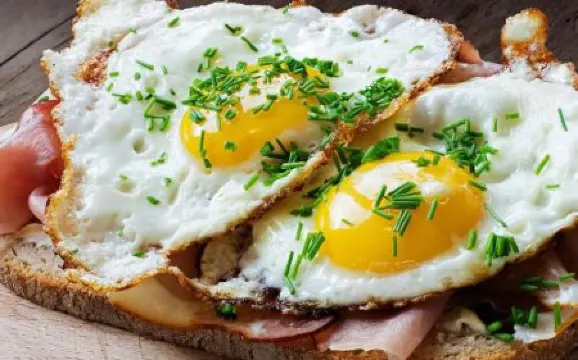 帕特里歐特酒店