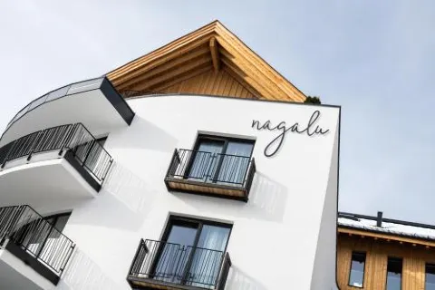 Nagalu