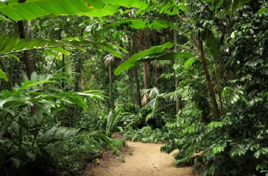 Bohemia Resort Cairns