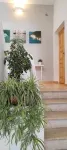 Apulia Bed&Breakfast Hotels in Monte Sant'Angelo