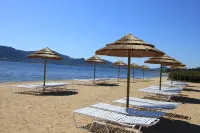 Hôtel Marina Corsica - Beach