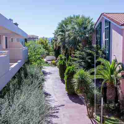 Alkyon Resort Hotel & Spa Hotel Exterior