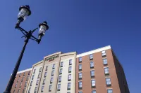 Courtyard Hamilton Hotels in Hamilton