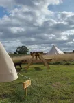 5m XL Bell Tent with Log Burner Near Whitby Hotel di Roxby