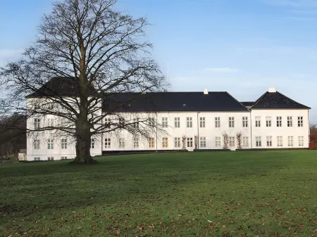 "Babette" - 75m to the Fjord