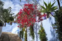 Hotel Costasol - 3-Star