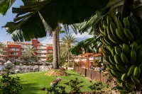 Elba Carlota Beach & Golf Resort - spa